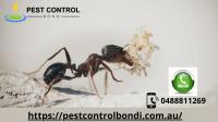 Pest Control Bondi image 1